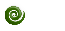 Jade Group International